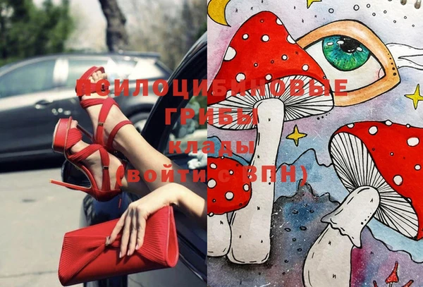 apvp Алзамай