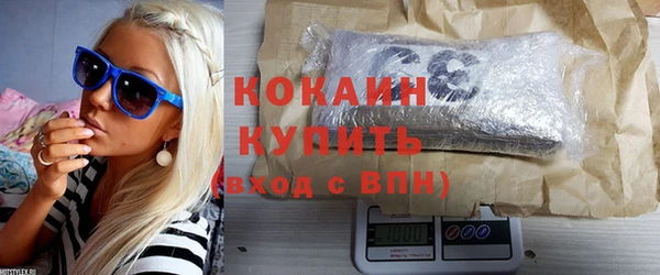шишки Заволжск